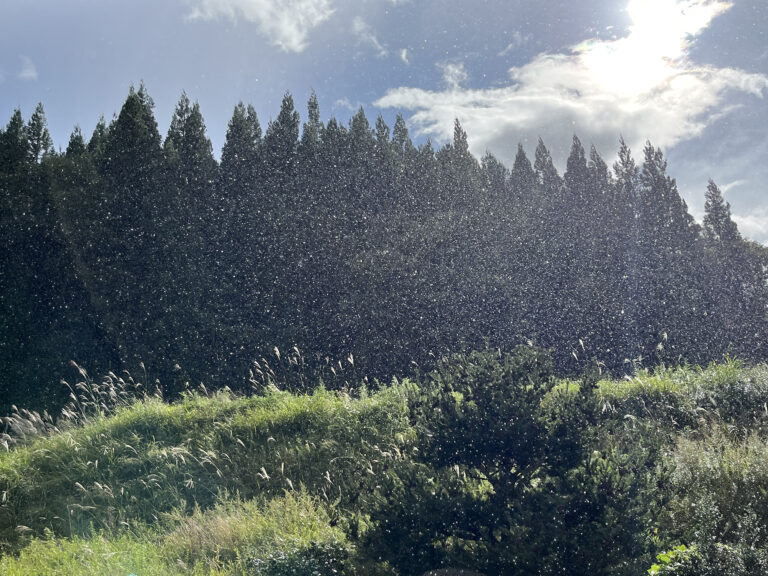 秋の天気雨