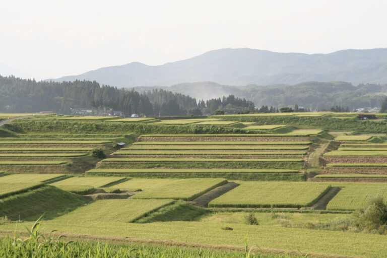 棚田