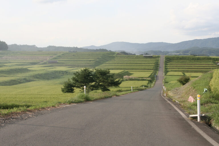 棚田