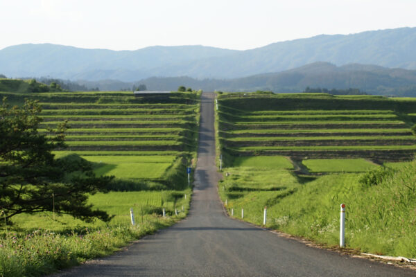 農旅広報《準備中》 イメージ